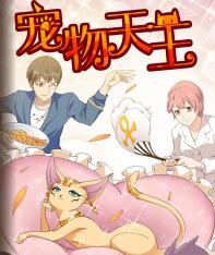 宠物天王