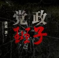 党政班子