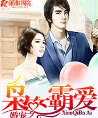 婚宠之彪悍老婆霸道情