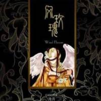 风玫瑰