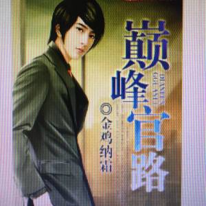 巅峰官路 | 公务员的逆天反转