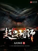 超品相师（丸子）