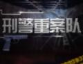 刑警重案队【郭德纲、刘奕君联名推荐】
