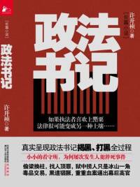 政法书记