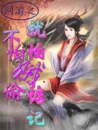 网游之不怕贼偷就怕..