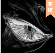 南坪85号