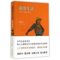 渴望生活 梵高传