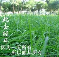 此去经年