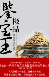 极品鉴宝