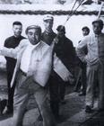 少林将军许世友（单..