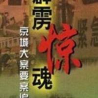 京城历年大案纵览