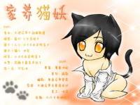 家养猫妖
