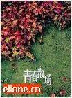 看见青春散场(上)完