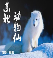 东北动物仙