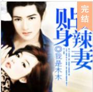 甜宠贴身辣妻
