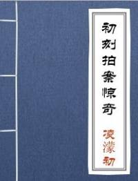 初刻拍案惊奇
