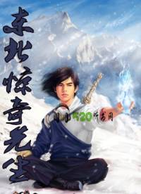 东北惊奇先生