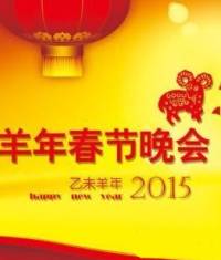 2015年春晚相声..